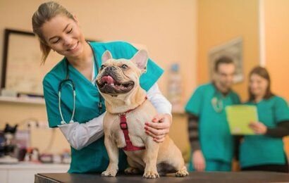 Veterinary medicine